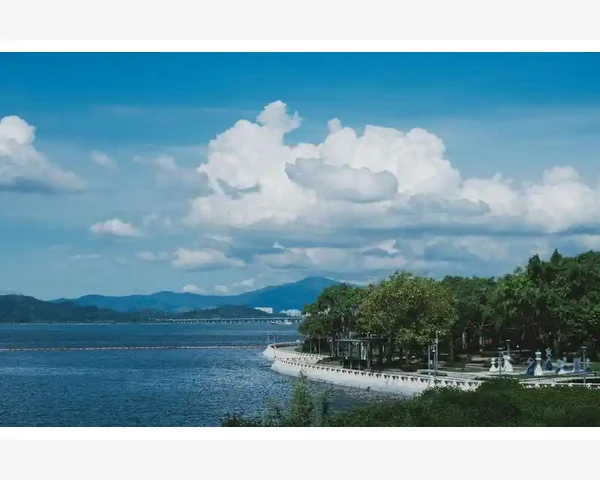 为什么吃了祛湿气药还觉得湿气重？探索湿气的奥秘！