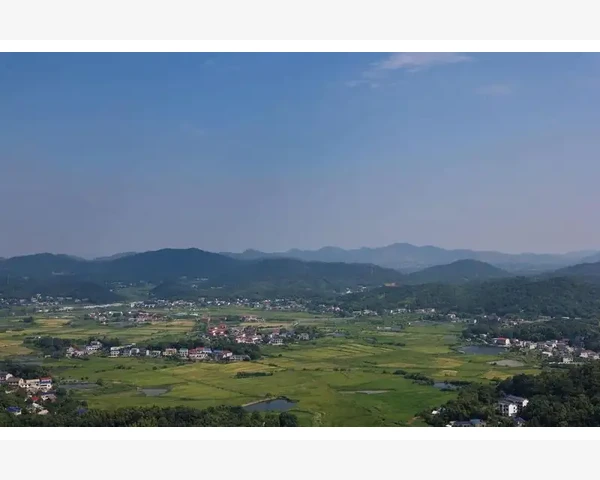 儿童脾胃不好，中医调养是个好选择！